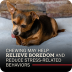 A small brown and black dog lying on a light gray blanket in front of a brick wall, chewing a Redbarn Bully Slice Treat. Text at the bottom reads, 'Chewing MAY HELP RELIEVE BOREDOM AND REDUCE STRESS-RELATED BEHAVORS'.