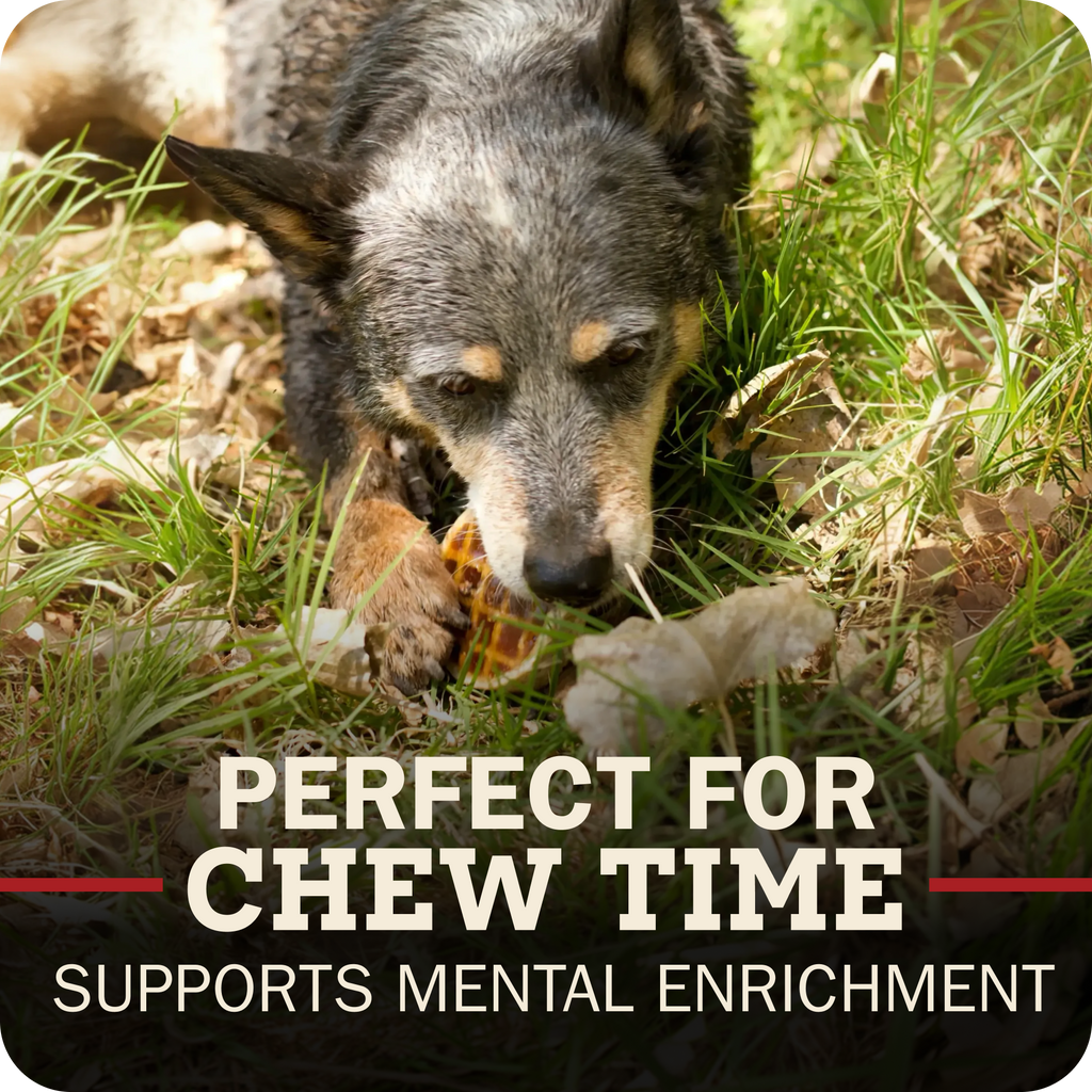A close-up photo of a dog chewing a Redbarn Roofle on a grass and leaves outdoors, with overlaid text reading 'PERFECT FOR CHEW TIME' and 'SUPPORTS MENTAL ENRICHMENT'.