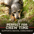 A close-up photo of a dog chewing a Redbarn Roofle on a grass and leaves outdoors, with overlaid text reading 'PERFECT FOR CHEW TIME' and 'SUPPORTS MENTAL ENRICHMENT'.