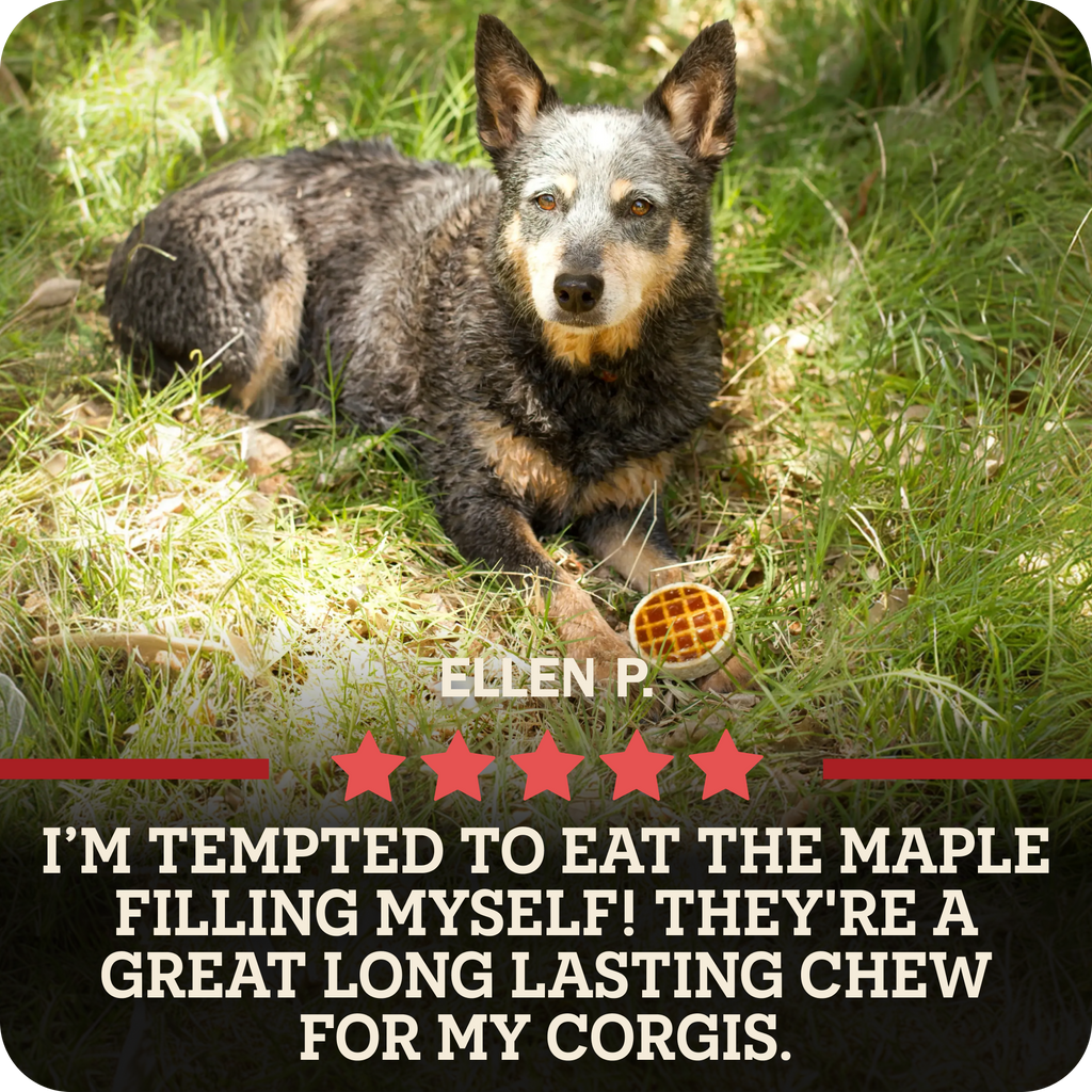 A dog lying in grass with a Redbarn Roofle treat in front of it. Text at the bottom with a 5 star review from, 'Ellen P. that reads, I'm tempted to eat the maple filling myself! They're a great long lasting chew for my Corgis.