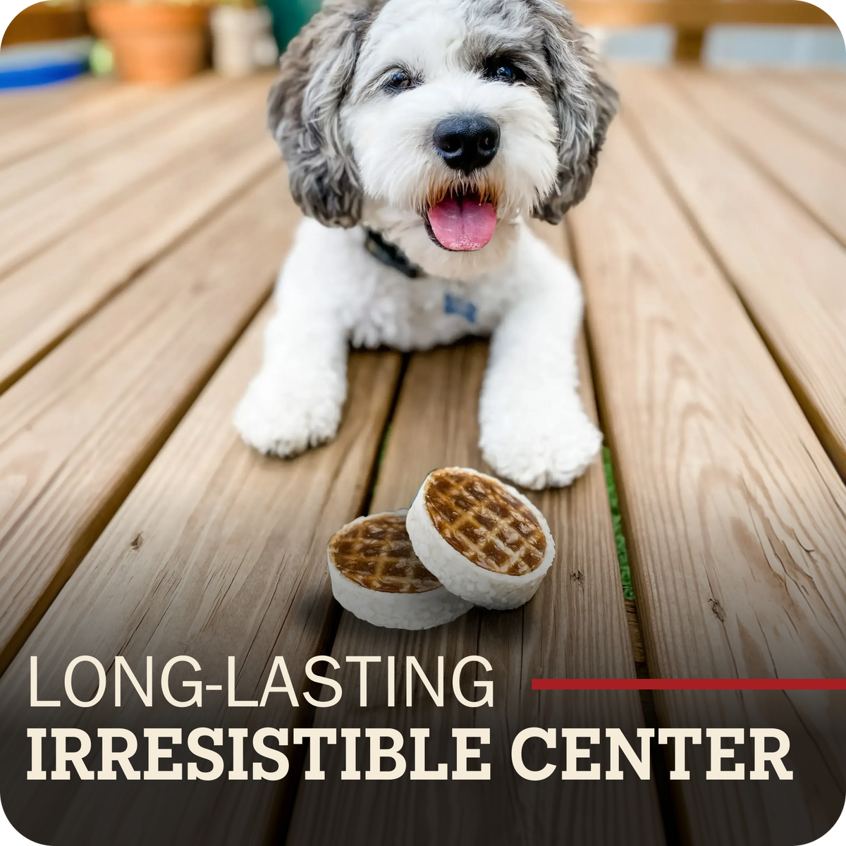 A small fluffy white and gray dog sits on a wooden deck with two Redbarn Roofle treats in front of it. Large overlaid text at the bottom reads 'LONG-LASTING IRRESISTIBLE CENTER'.
