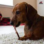 Dog Treats product image 7