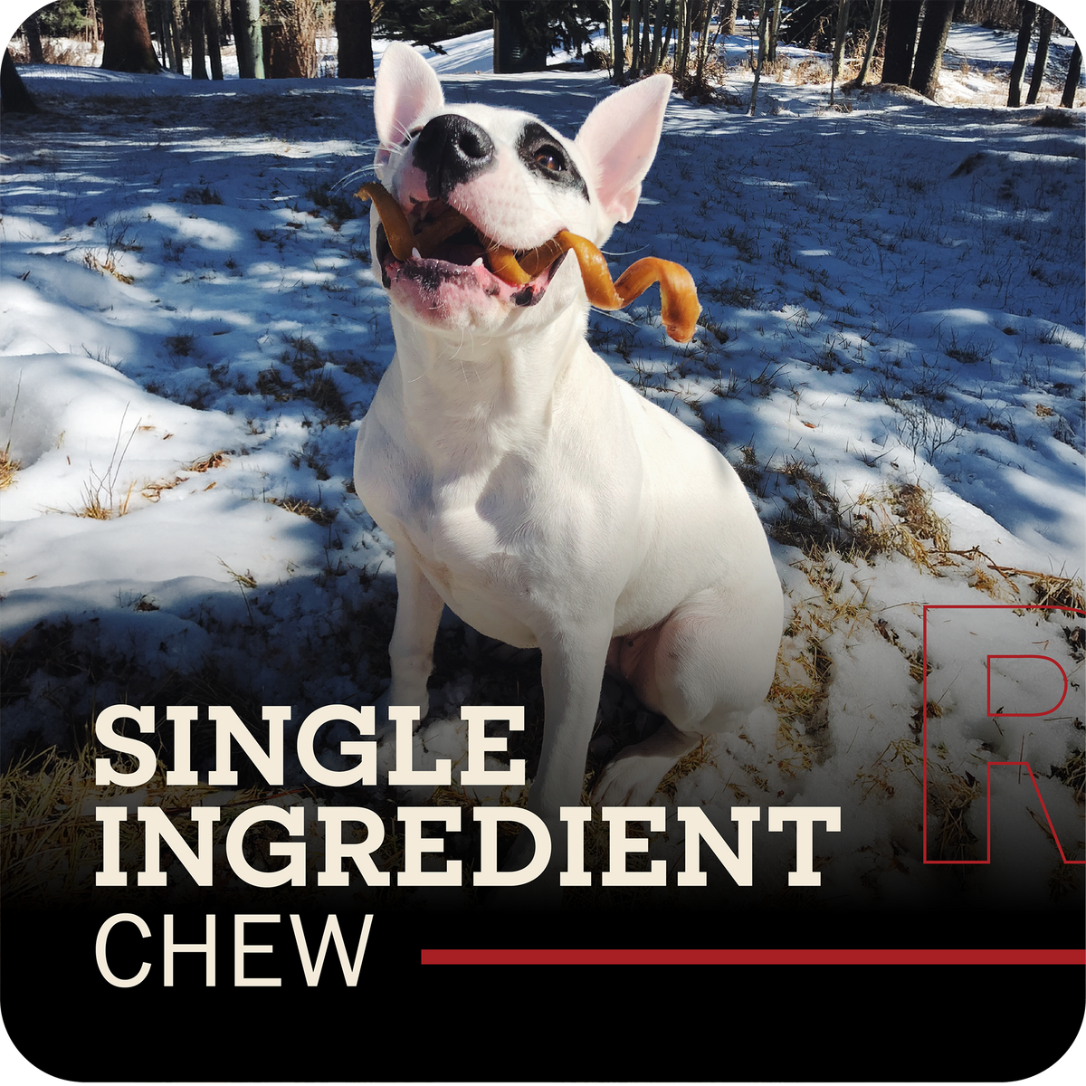 Dog Chews product image 2