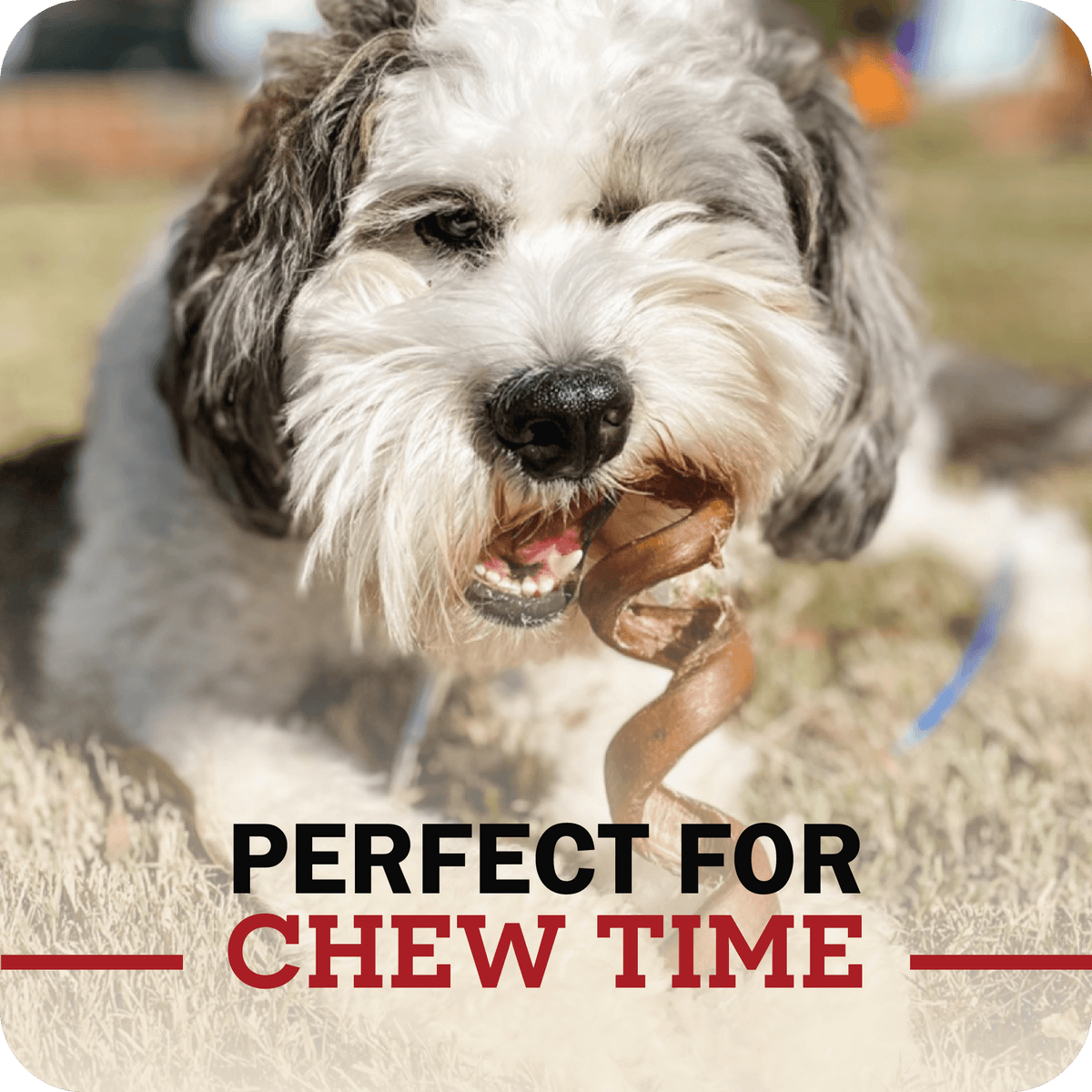 Dog Chews product image 7
