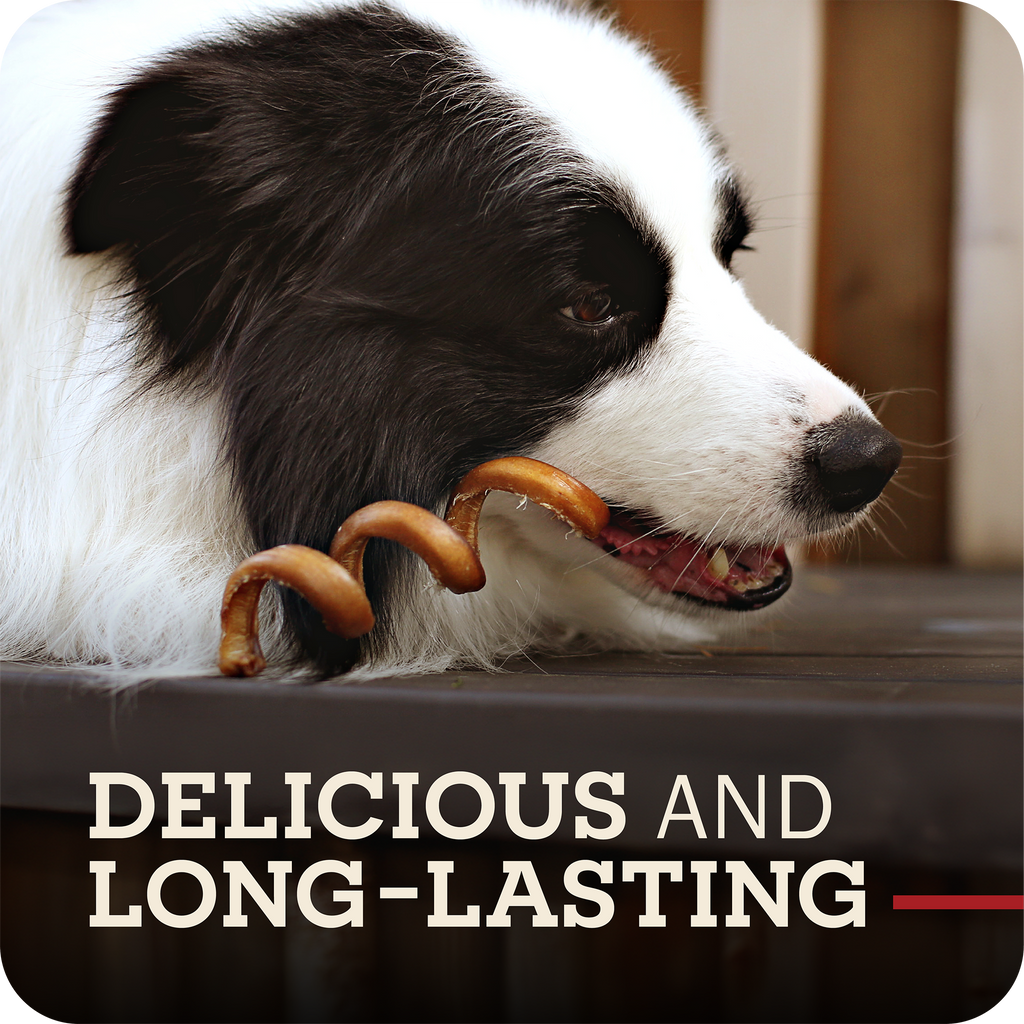 Dog Chews product image 8