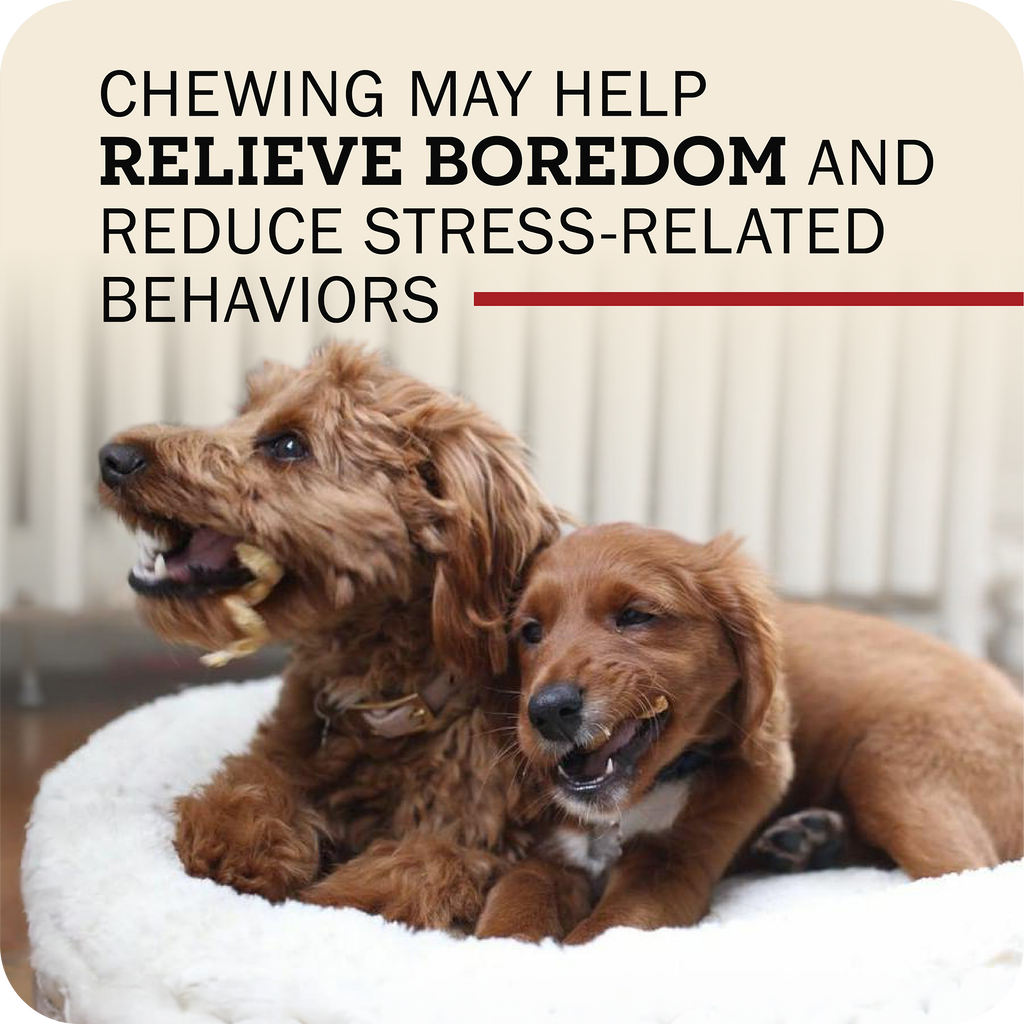 Dog Chews product image 9