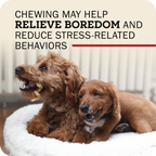 Dog Chews product image 9