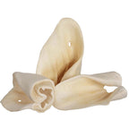 Dog Chews product image 2