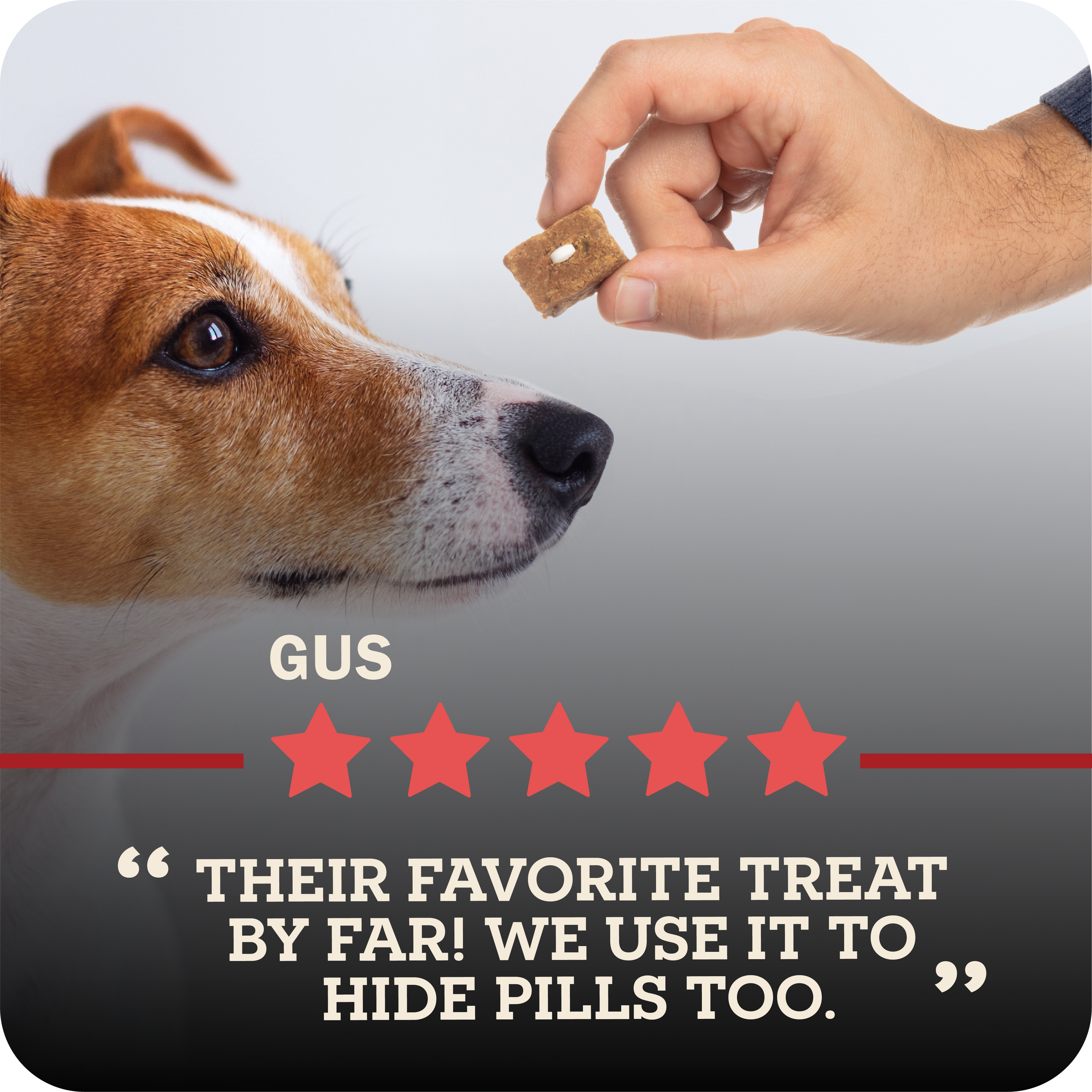 Semi-Moist Dog Food Roll product image 8