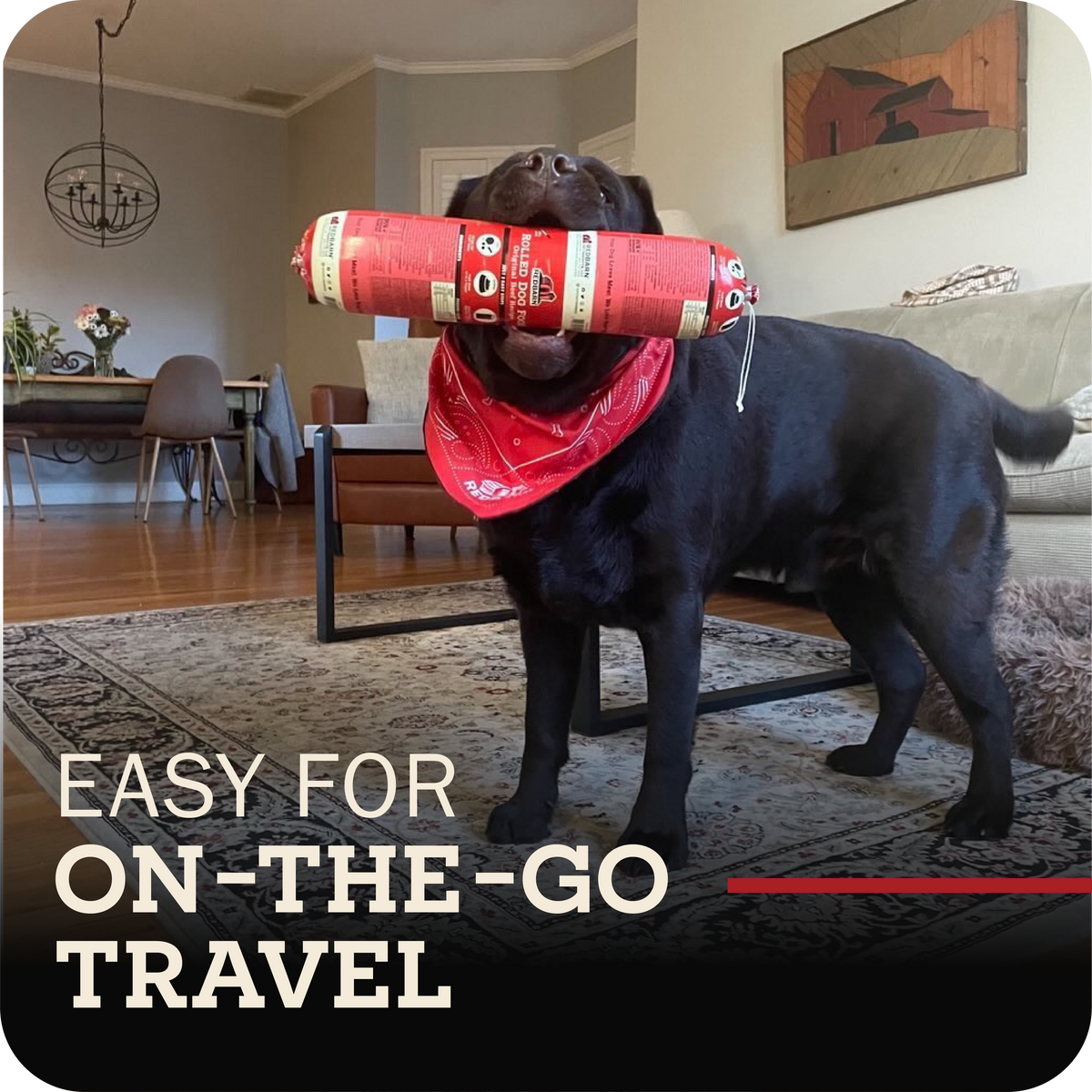 Semi-Moist Dog Food Roll product image 10