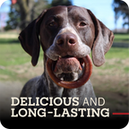 Dog Chew product image 2