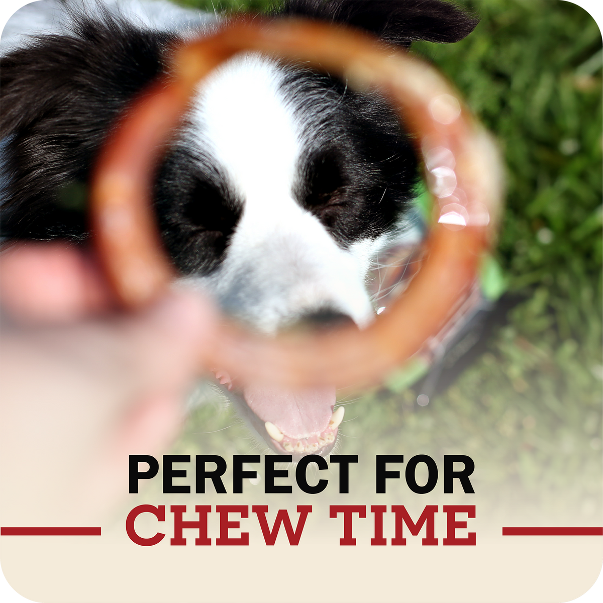 Dog Chew product image 6