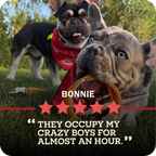 Dog Chew product image 10