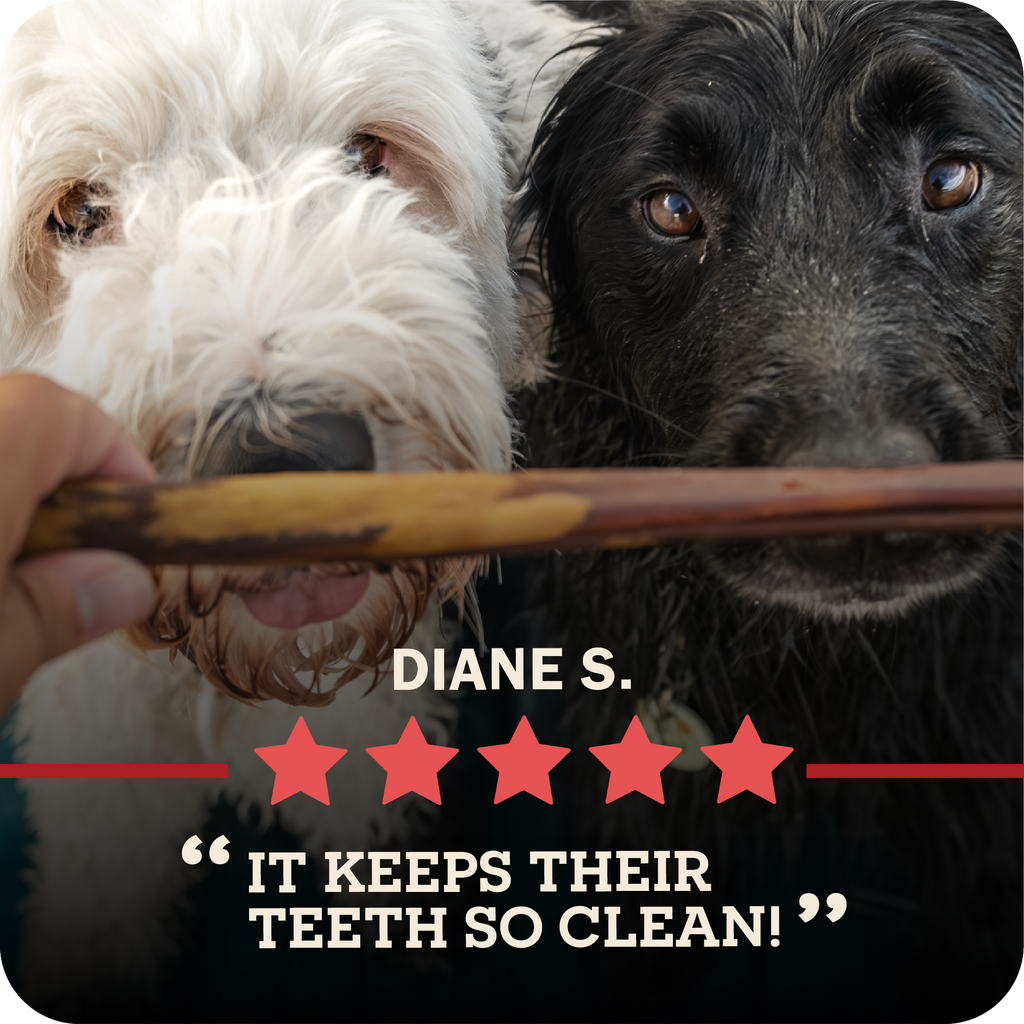 Dog Chew product image 11