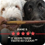 Dog Chew product image 11
