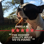 Dog Chew product image 12