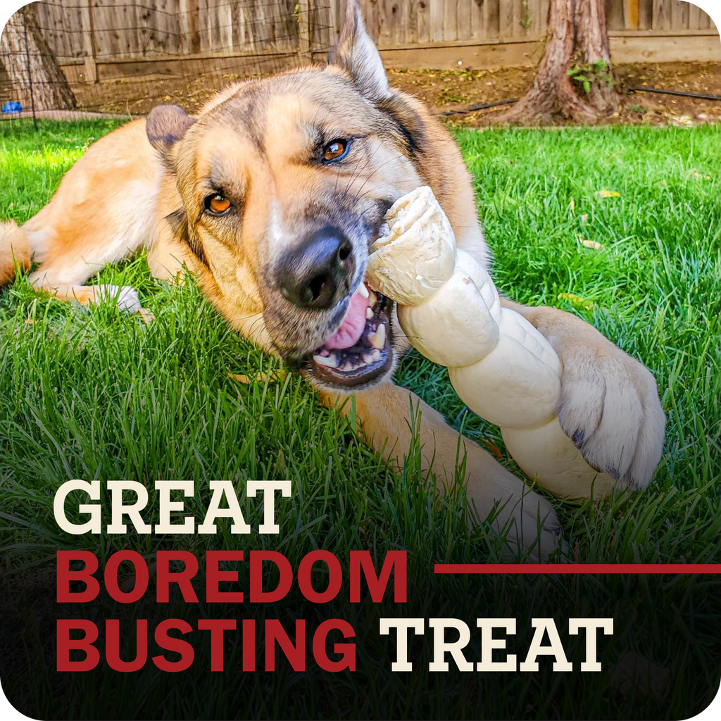 A German Shepherd dog lying on green grass outdoors, chewing on a beef cheek roll dog treat. Large overlaid text at the bottom reads 'GREAT BOREDOM BUSTING TREAT'.