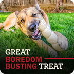 A German Shepherd dog lying on green grass outdoors, chewing on a beef cheek roll dog treat. Large overlaid text at the bottom reads 'GREAT BOREDOM BUSTING TREAT'.
