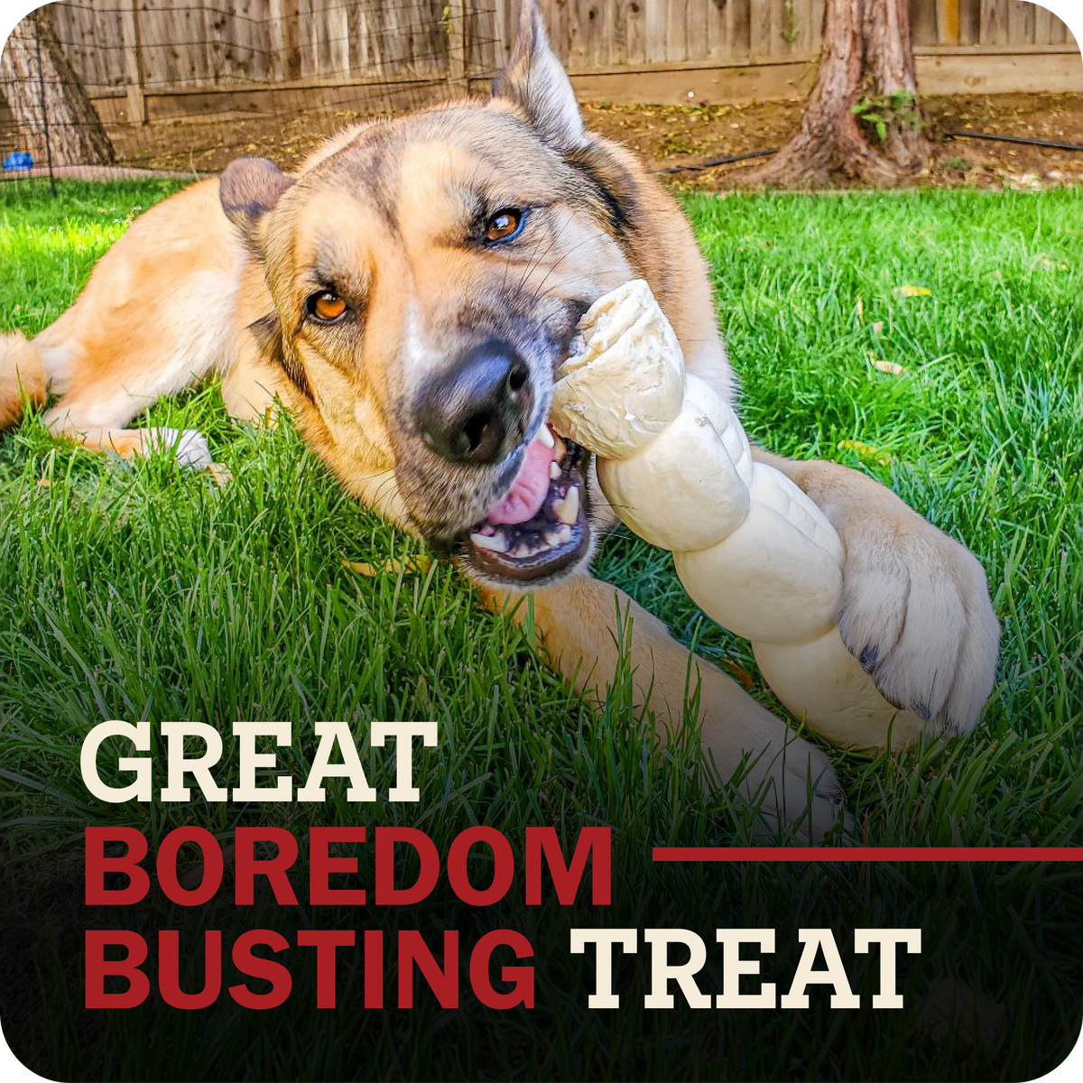 A German Shepherd dog lying on green grass outdoors, chewing on a beef cheek roll dog treat. Large overlaid text at the bottom reads 'GREAT BOREDOM BUSTING TREAT'.