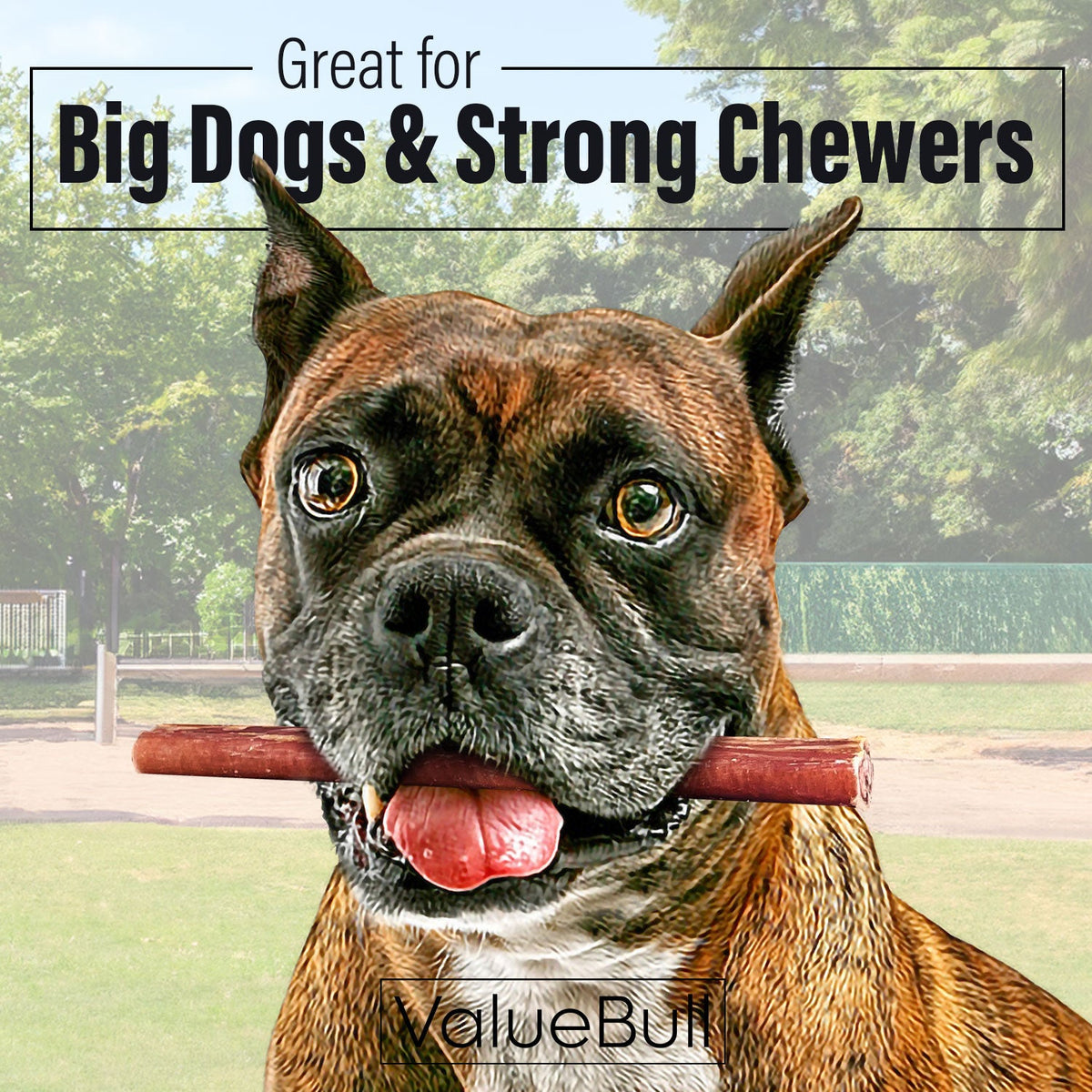 Bully Sticks product image 2