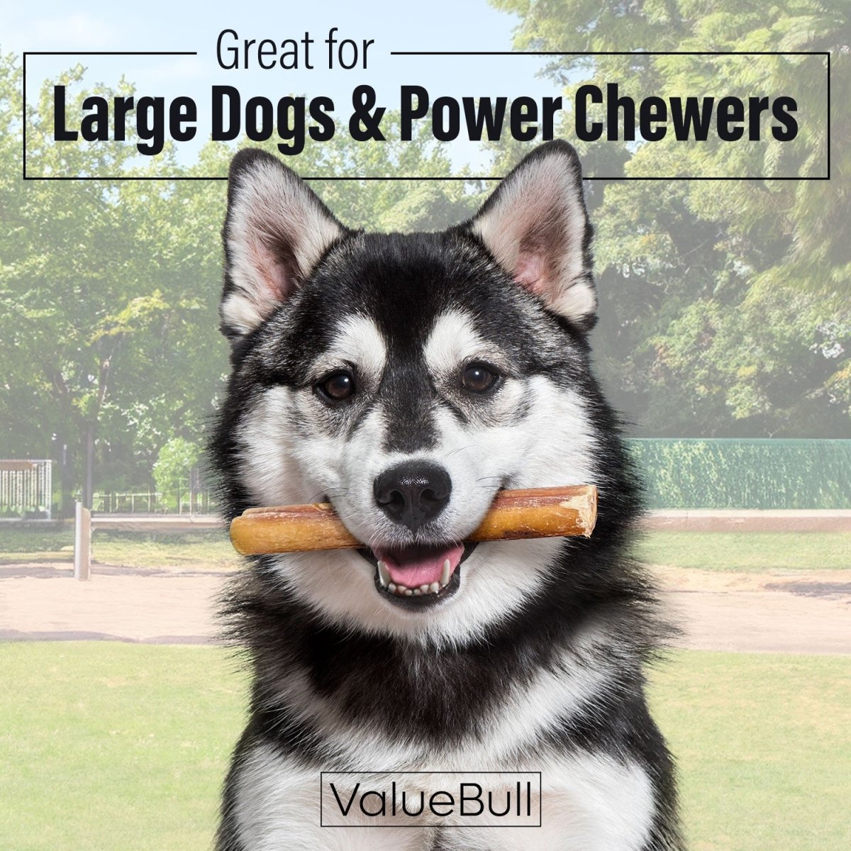 Jumbo Bully Sticks product image 2