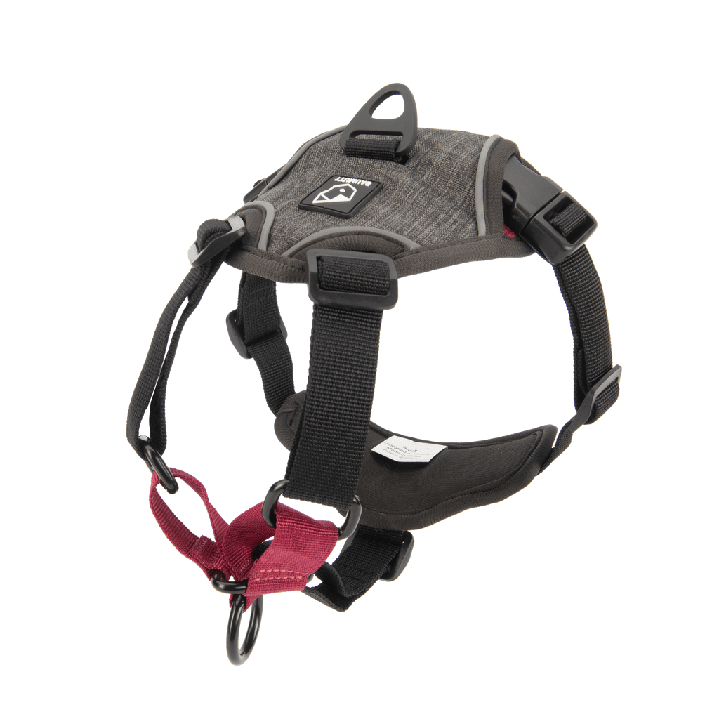 No Pull Dog Harness product image 1