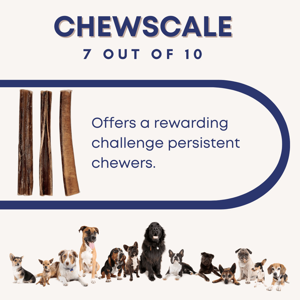 Bully Stick Dog Chews product image 3