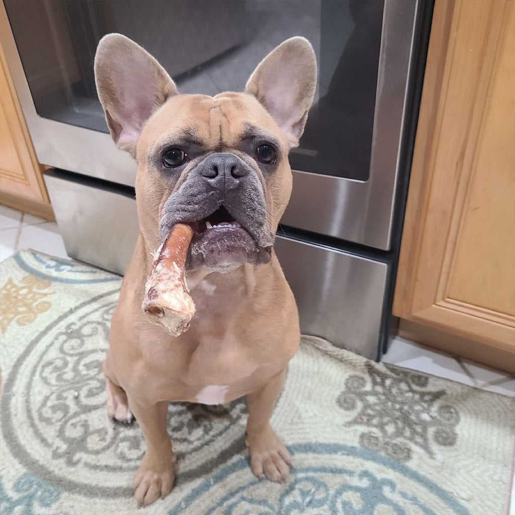 Bully Stick Dog Chews product image 5
