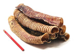 Beef Trachea Dog Chews product image 3