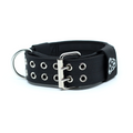 Padded Dog Collar product image 1