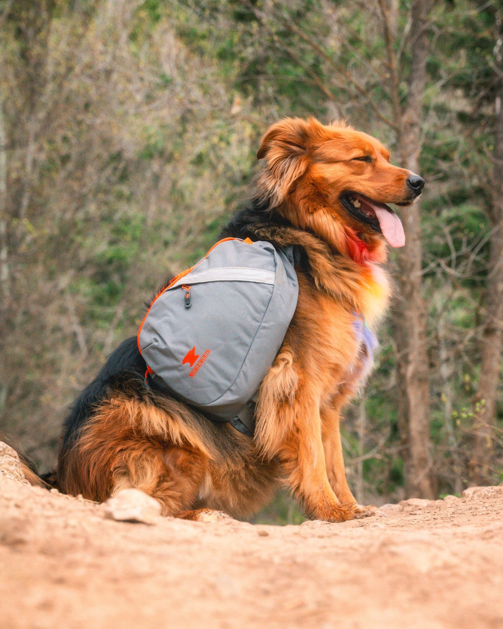 Dog Backpack product image 8