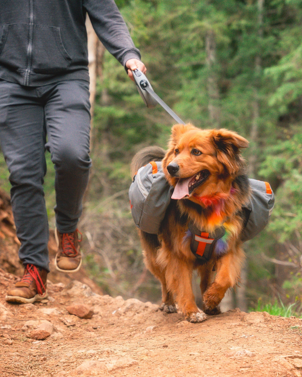 Dog Backpack product image 9