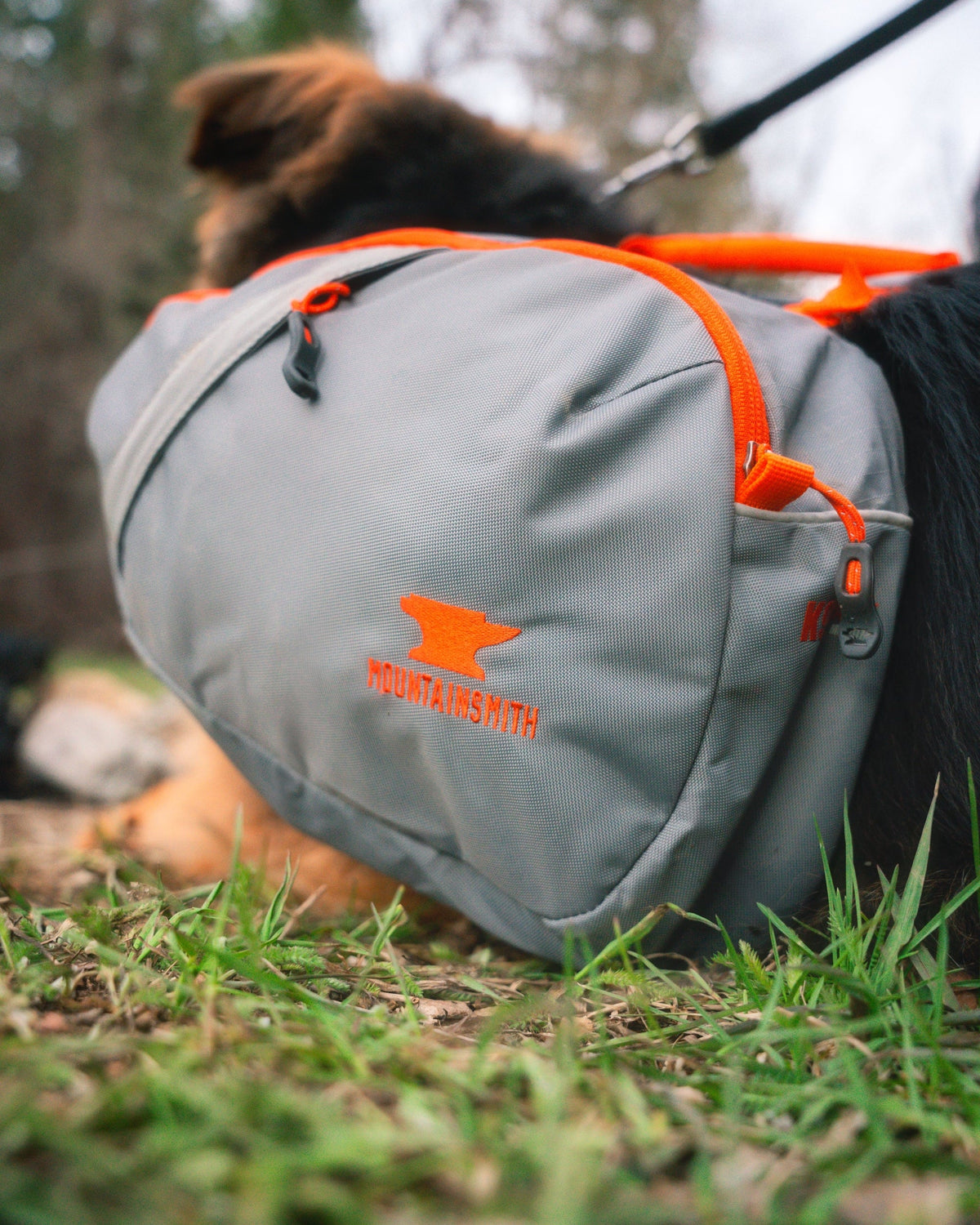 Dog Backpack product image 10