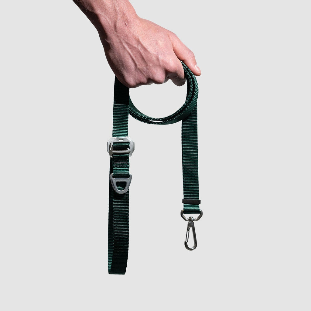 Adjustable Hands-Free Dog Leash product image 13