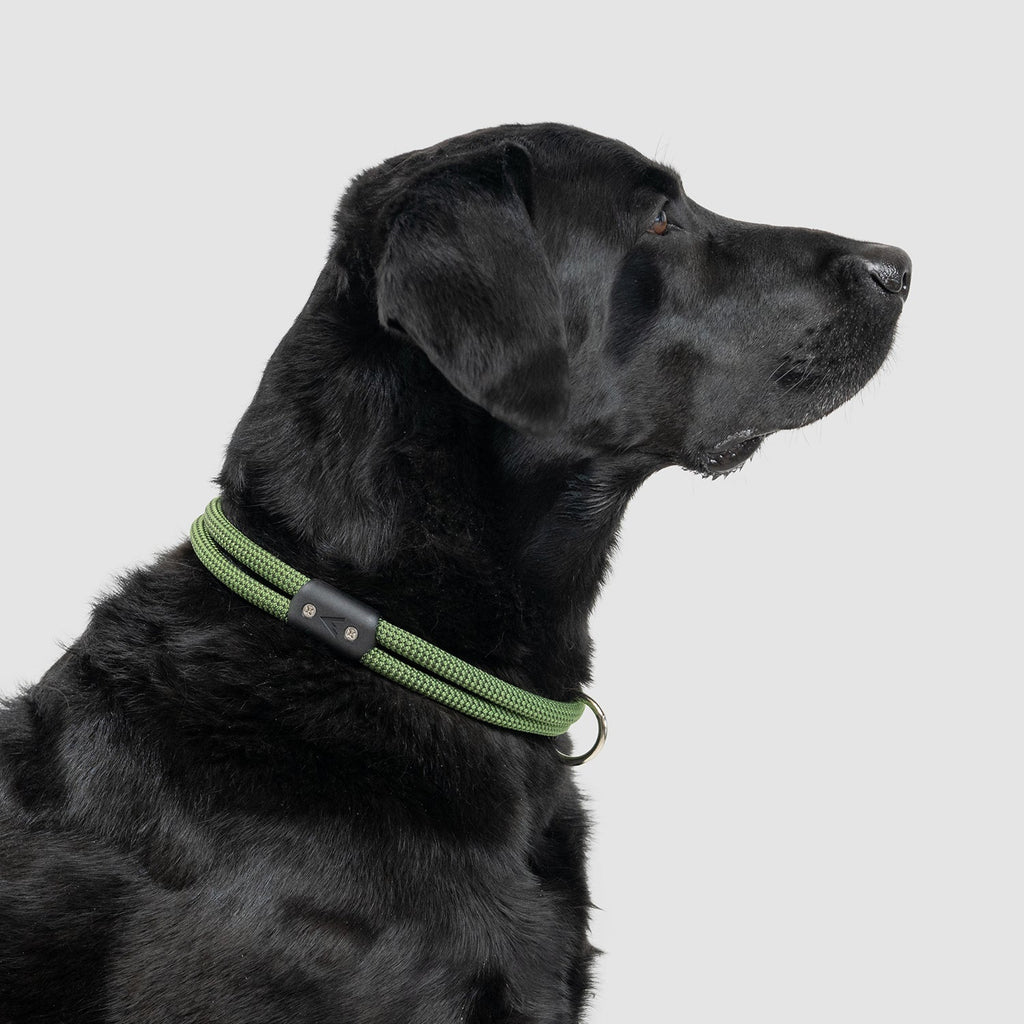 Climbing Rope Slip-On Dog Collar product image 16