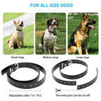 Vibrating Dog Training Collar product image 7