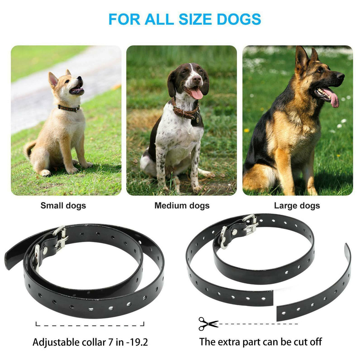 Vibrating Dog Training Collar product image 7