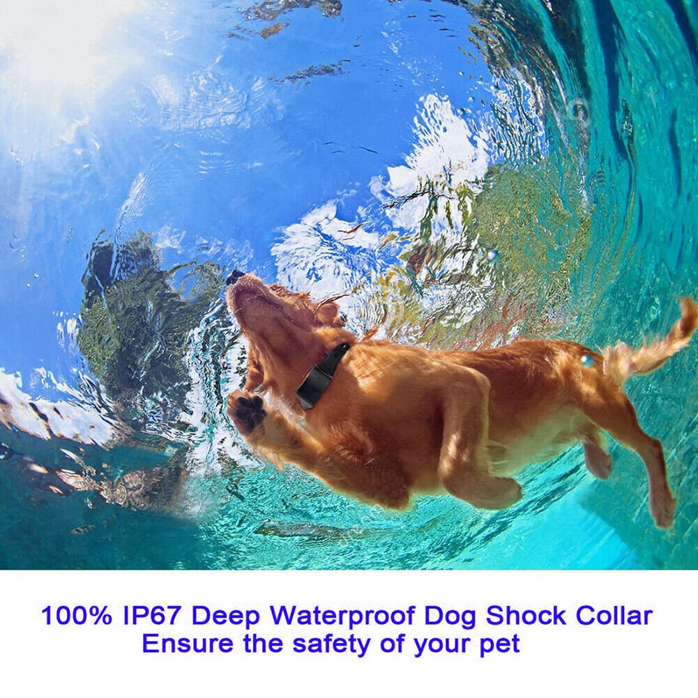 Vibrating Dog Training Collar product image 8