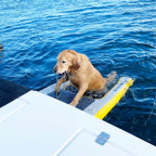 Inflatable Dog Ramp product image 2
