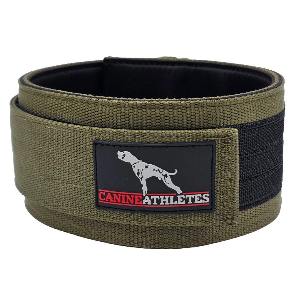 Weighted Working Dog Collar product image 4