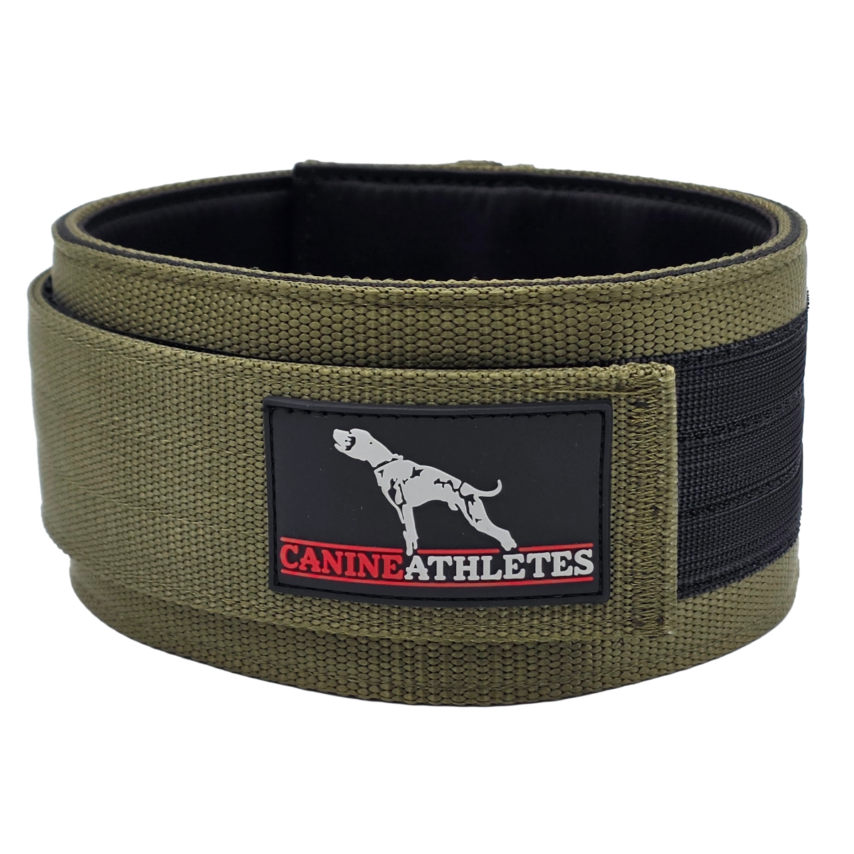 Weighted Working Dog Collar product image 4