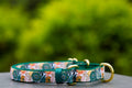 Martingale Dog Collar product image 1