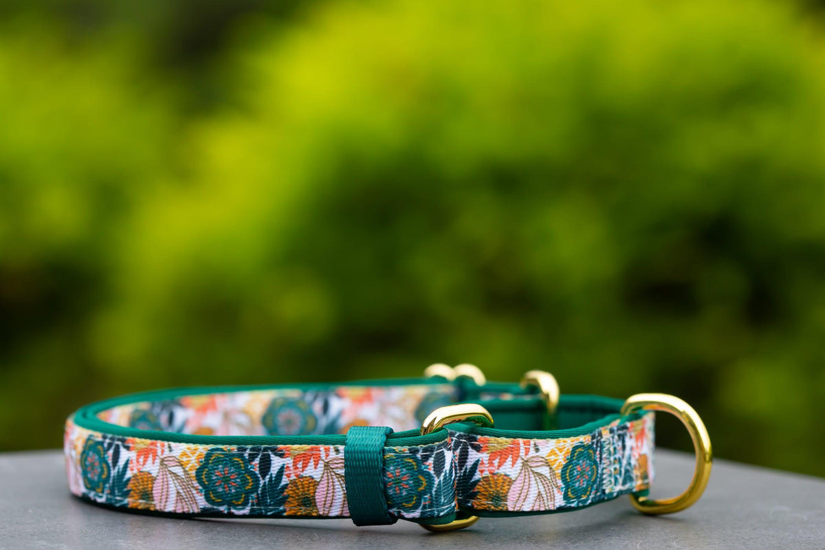 Martingale Dog Collar product image 1