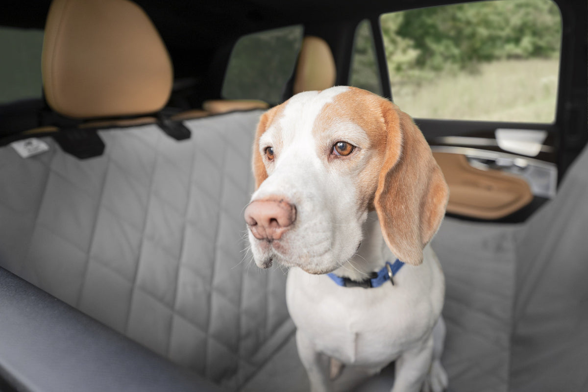 Pet Car Seat Protector product image 4