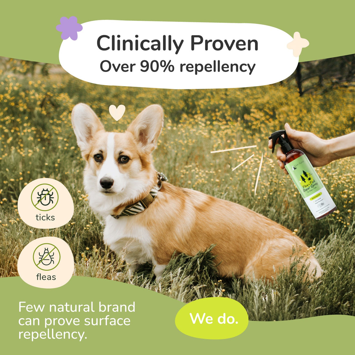 Flea and Tick Spray product image 2