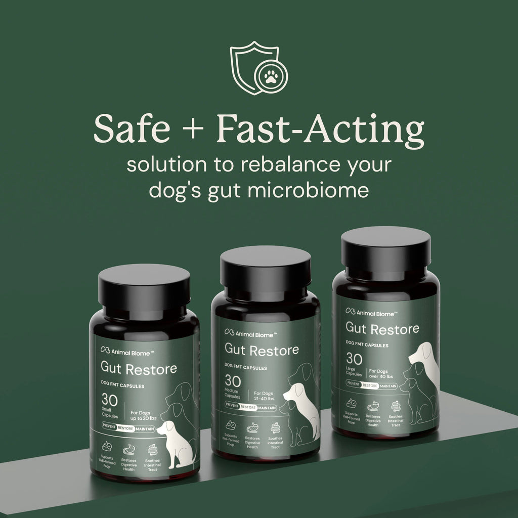 Dog Gut Microbiome Support Capsules product image 9