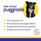 Dog Allergy and Skin Support Chews product image 6