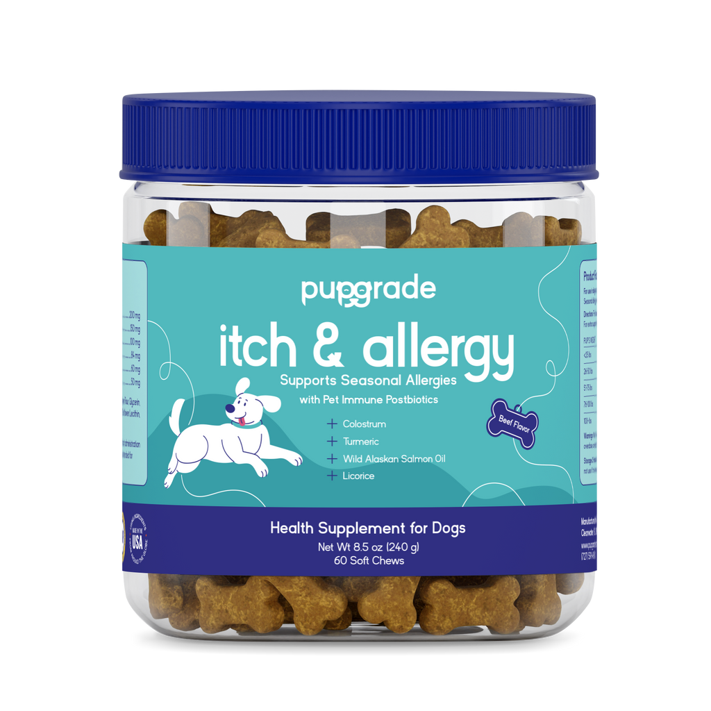 Dog Allergy and Skin Support Chews, 1 Jar