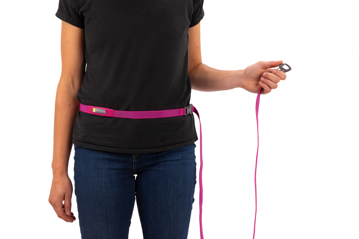 Hands-Free Dog Leash product image 52