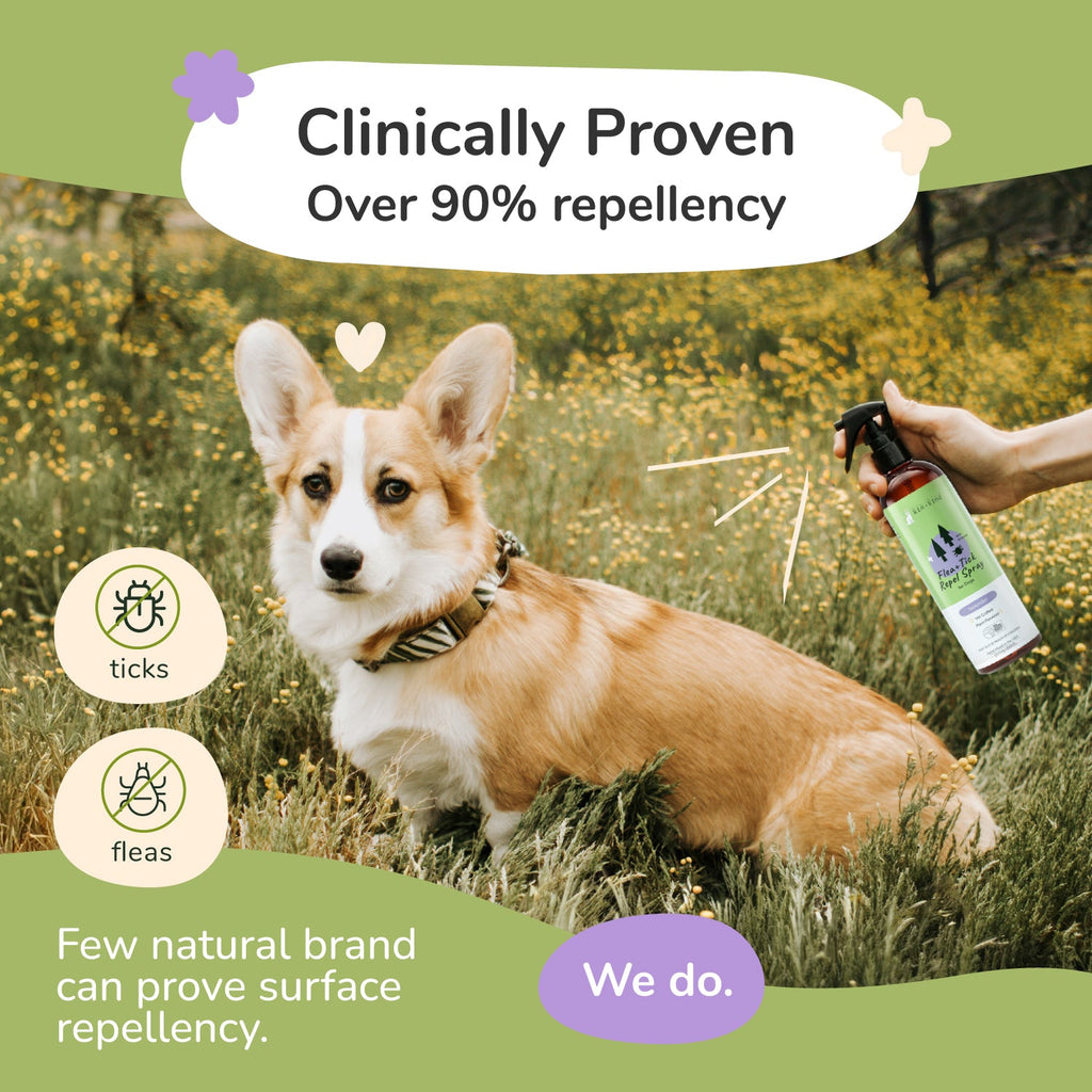 Dog Flea and Tick Spray product image 2
